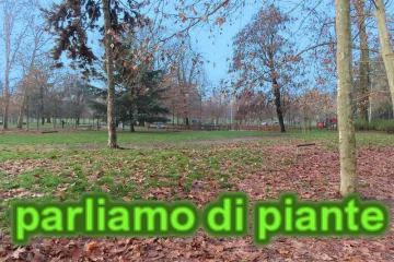 Festa dell'Albero - passegiata al Parco Ravizza - 2026-11-02