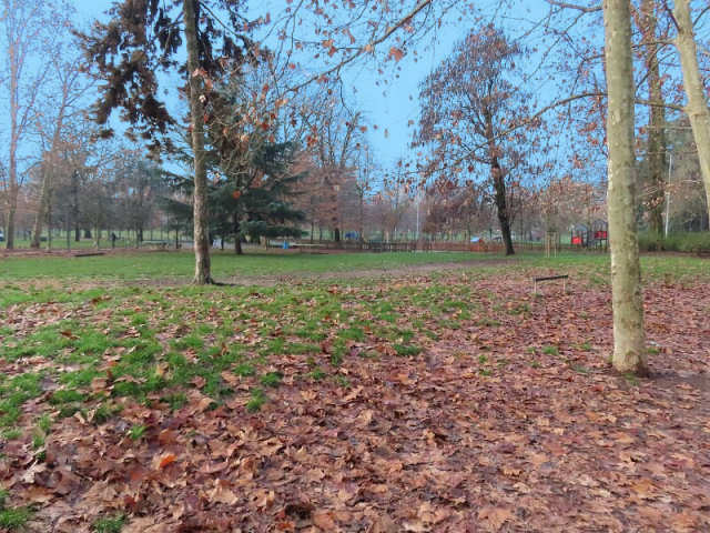 Parco Ravizza in autunno