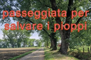 Ticinello passeggiata del 2026-10-24
